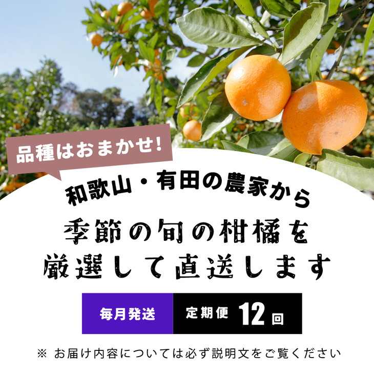 厳選・和歌山の季節の柑橘5kg農家直送フルーツ定期便 ※北海道・沖縄・離島への配送不可