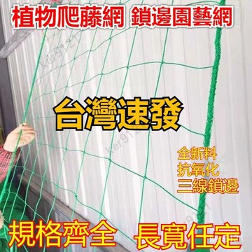 【台灣發貨】植物百香果爬藤網 絲瓜網 苦瓜網 吊瓜網 葡萄瓜 蔞攀爬網 百香果藤蔓搭架網 園藝網 搭架網 栽培網 棚架網