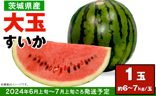 12-25茨城県産大玉すいか1玉（約6～7kg）