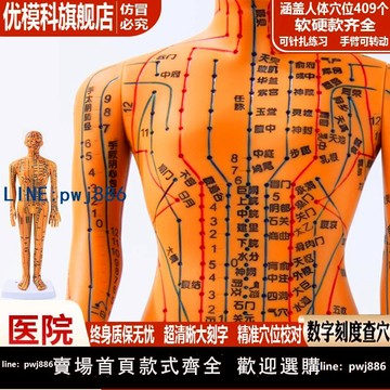 【便宜有好貨】優模科針灸穴位人體模型可扎針練習多尺寸規格軟硬男女款模型可選