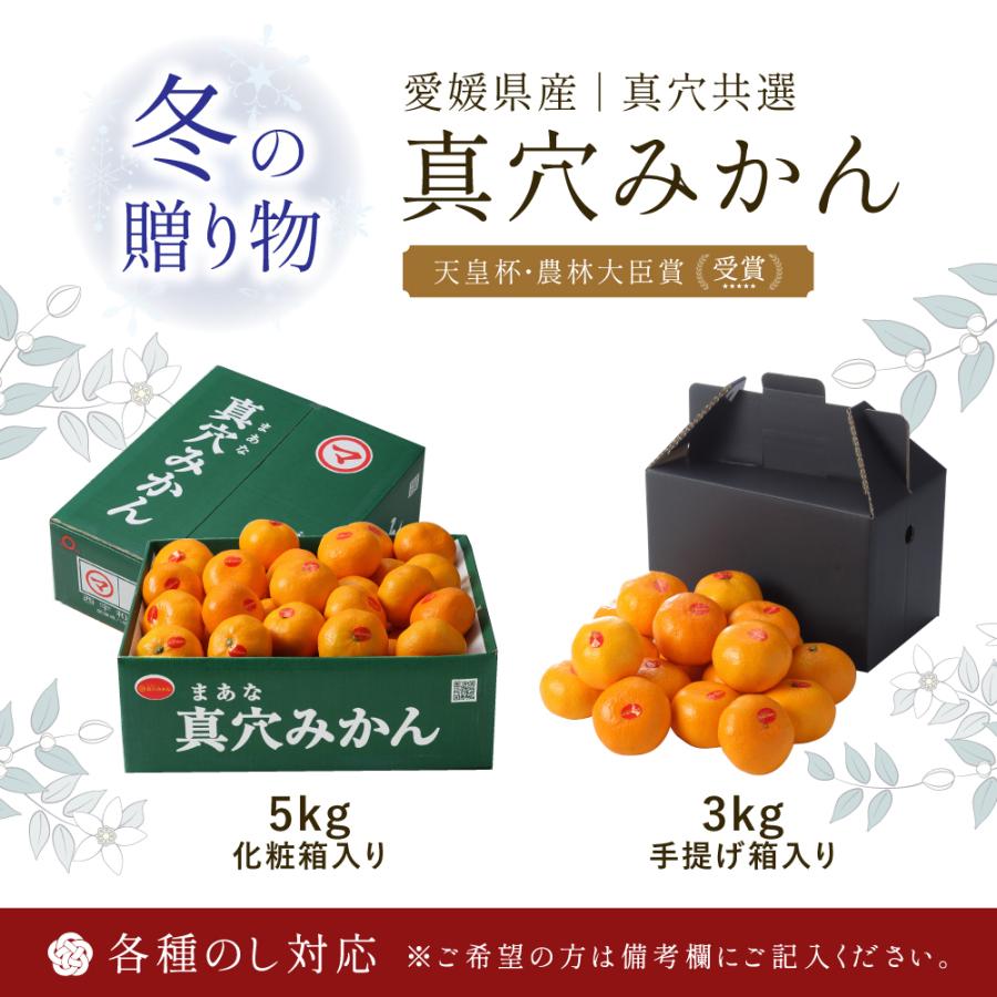(11月下旬頃より発送) 2023 御歳暮 愛媛県産 温州みかん 真穴みかん 糖度12度以上 秀品 S〜Lサイズ 約5kg 贈答用 ギフト みかん 愛媛 フルーツ