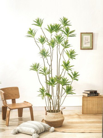 北歐ins風網紅仿真百合竹落地植物盆栽室內大型裝飾擺件樹假綠植