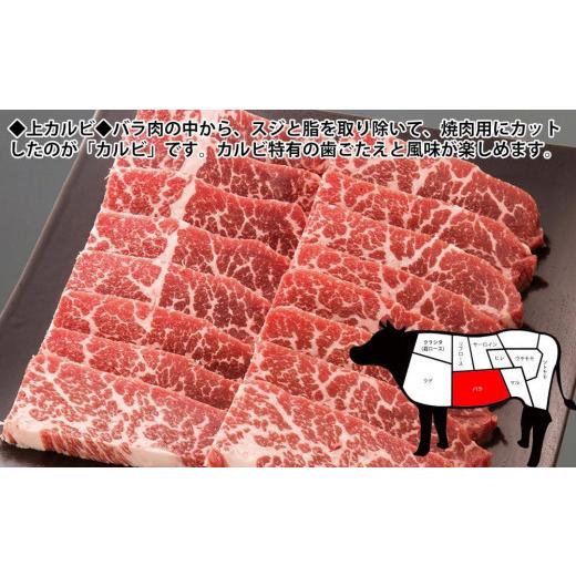 ふるさと納税 高知県 高知市 プレミアム焼肉セット約2kg 土佐和牛 牛肉 豚肉 肉詰め合わせ