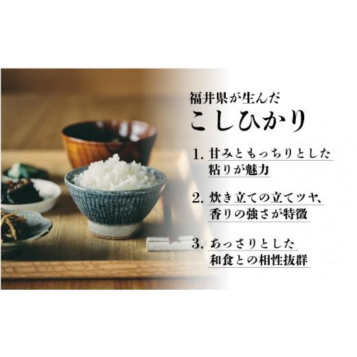 ふるさと納税 福井県 鯖江市 令和5年産 コシヒカリ 10kg (5kg×2袋）× 6回   計60kg （3月上旬、4月上旬、5月上旬、6月上旬、7月上旬、8…