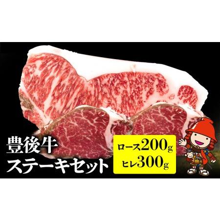 ふるさと納税 おおいた和牛ステーキセット ロースステーキ200g ヒレステーキ300g 牛肉 和牛 焼肉 焼き肉セット赤身 大分県産 中津市 大分県中津市