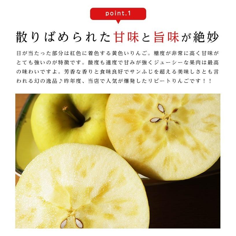 送料無料 青森県産 りんご ぐんま名月 9-11玉 約3kg りんご ぐんま名月 3kg りんご 青森 りんご 3kg 送料無料 群馬名月 ギフト 贈答 フルーツギフト