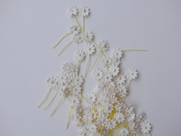 紙花，100朵。小雛菊DIY紙，尺寸1.00厘米，紗線，白色