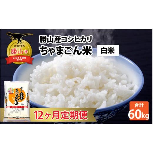 ふるさと納税 福井県 勝山市 『定期便』 令和5年産 新米 勝山のお米コシヒカリ5kg 全12回 [J-010020]