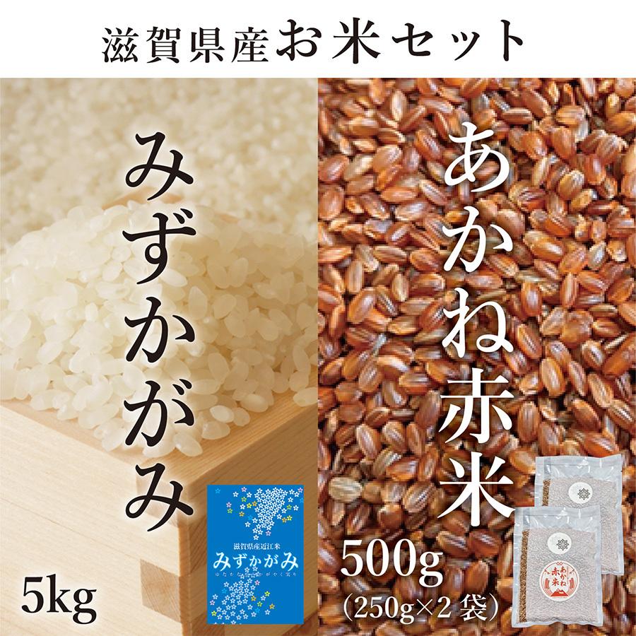 克勝あかね赤米（500g）【滋賀県ご当地モール】　滋賀県東近江市蒲生野産　みずかがみ（5kg）　LINEショッピング