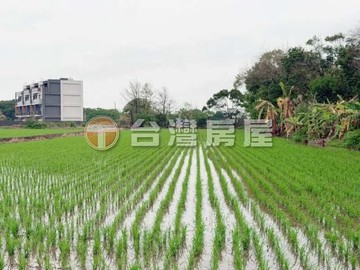 台31線楊湖路漂亮農保農地大楊梅胖胖｜桃園市楊梅區楊富段