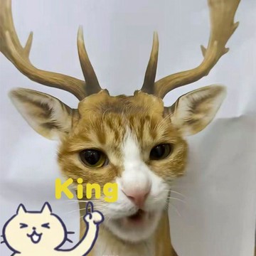 【雖貴但值得】4 硬卡紙 手持擺拍道具 動物園可愛動物圖案百搭出鏡 厚實硬挺不易折皺變形 遊玩打卡人像專用拍照背景卡