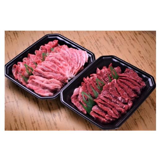 ふるさと納税 鳥取県 北栄町 ４５．鳥取牛ハラミと鳥取和牛カルビの特大焼肉セット　合計1.7kg