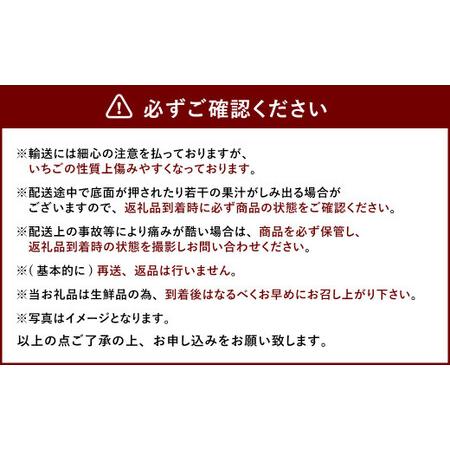 ふるさと納税  大粒 あまおう 約280g×4パック 合計約1.1kg いちご 苺 イチゴ フルーツ 果物 福岡県太宰府市