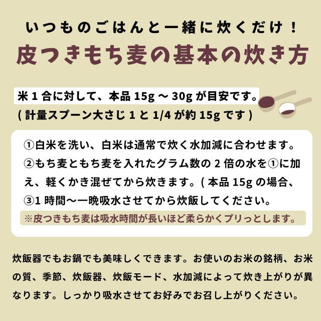 もち麦 国産 9kg ダイシモチ 皮付き 紫もち麦 プチコさん 900gｘ10袋 アントシアニン 腸内環境 食物繊維