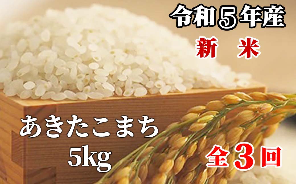 白米 5kg 令和5年産 あきたこまち 岡山 「おおがや米」生産組合 G-bf-BCZA