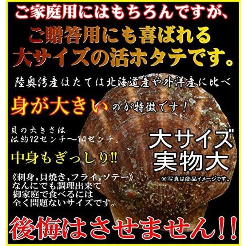 青森期待の新人商店 ほたて 殻付き 大4kg 貝柱が美味 活ホタテ大サイズ4キロ 青森陸奥湾産