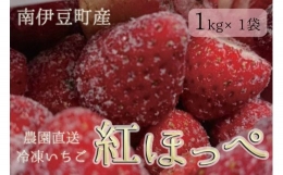 冷凍イチゴ１kg（2020年第31回静岡県いちご果実品評会入賞）
