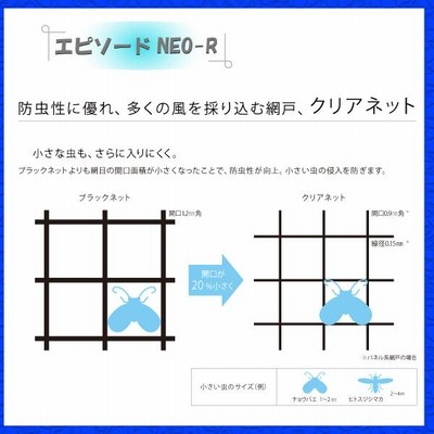 YKKAP窓サッシ 装飾窓 エピソード2NEO-R FIX窓 在来工法：[幅780mm×高