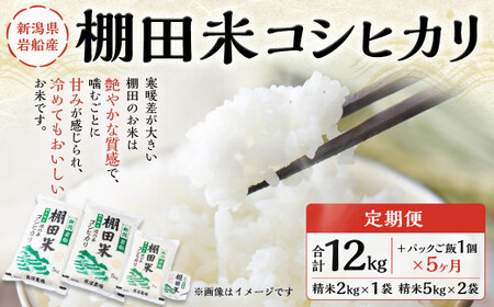 新潟県岩船産 棚田米コシヒカリ 12kg パックごはん(150g×1個)×5ヶ月 E4047