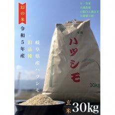 令和5年産　ハツシモ(旧品種)　30kg　玄米