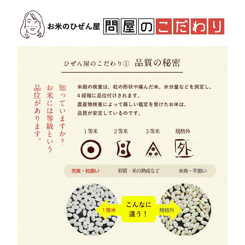 新米　令和5年　米 お米 5kg 送料無料 上場コシヒカリ 佐賀県産　令和5年度 5kg こしひかり