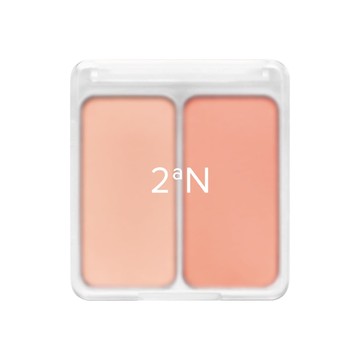 2aN摩登雙色腮紅#07蜜桃 4.5g * 2