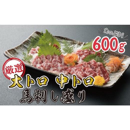 ふるさと納税 熊本県 錦町 数量限定 馬刺し 大トロ 中トロ 600g 豪華絢爛 食べ比べ セット 馬刺 盛り 馬肉 肉 お肉 冷凍