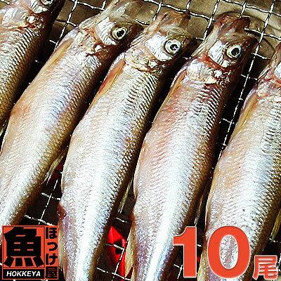 北海道（広尾産）ししゃも オス 大サイズ 10尾 