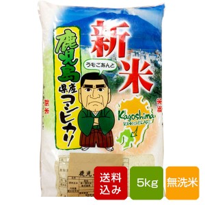 鹿児島コシヒカリ無洗米 5kg   一等米 鹿児島県 令和5年産