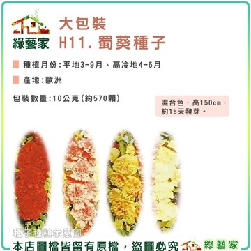 【綠藝家】大包裝H11.蜀葵(混合色，高150cm)種子10公克(約570顆) 花卉種子