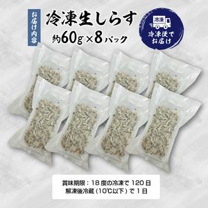 ふるさと納税 a10-419　静岡県漁連 お刺身用冷凍生しらす 静岡県焼津市