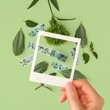 mt ex 和紙膠帶 2024SS / 彩色系列 - 綠 (MTEX1P242)