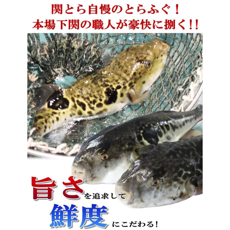 お歳暮 2023 ギフト ふぐ 鍋 ふく福袋 松 とらふぐ ふぐ刺し 送料無料 お取り寄せ 山口 海鮮 御祝 グルメ