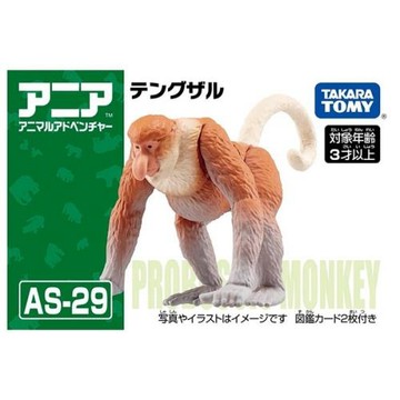 TOMICA ANIA AS-29 長鼻猴 AN17972 多美動物園