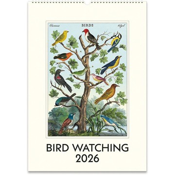 Cavallini & Co.  2026 年曆/掛曆_BIRD WATCHING(下單前請先詢問