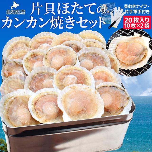 ほたて カンカン焼きセット ２０枚入 冷凍ほたて 送料無料 北海道産 半缶入り（貝むきナイフ・片手用軍手付き） ほたて片貝 海鮮 バーベキューセット