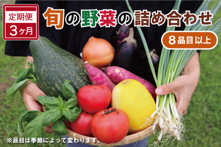 旬の野菜 詰め合わせ 8品以上 連続3か月おまかせ セット 産地直送 新鮮