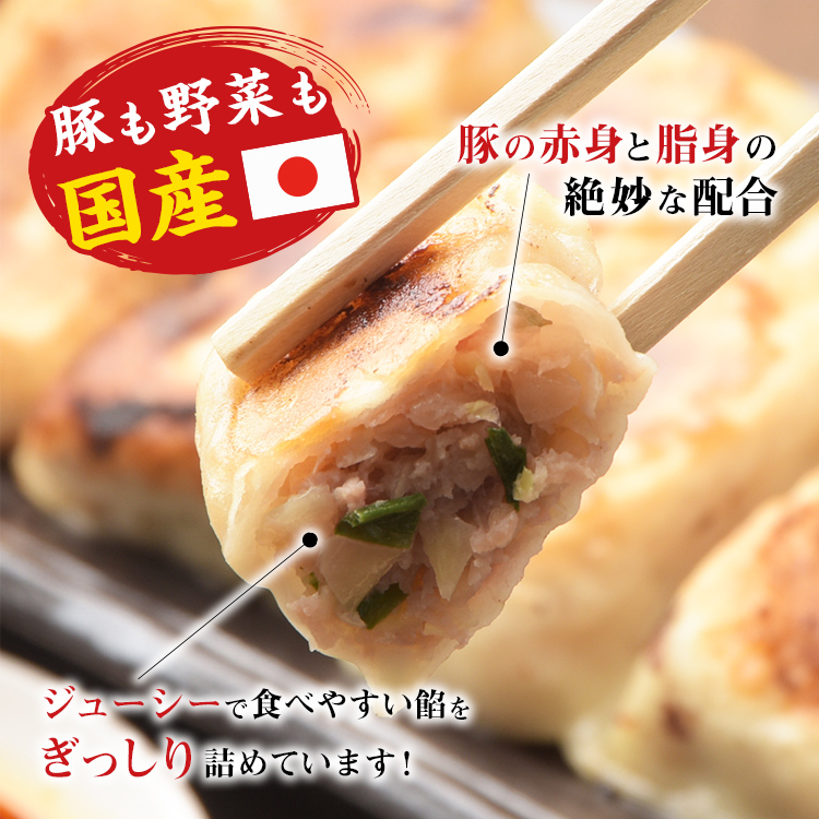 餃子 60個 餃子専門店 取り寄せ 焼餃子 20個×3箱 にんにく味 もっちり ジューシー 皮がパリッ 冷凍 ぎょうざ