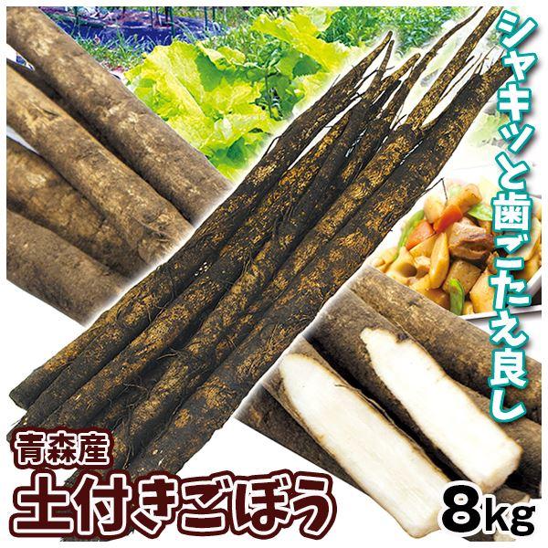 ごぼう 8kg 青森産 土付きごぼう ご家庭用 送料無料 食品