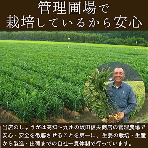 国産黄金生姜使用 寿司ガリ 1Kg×3袋 無着色