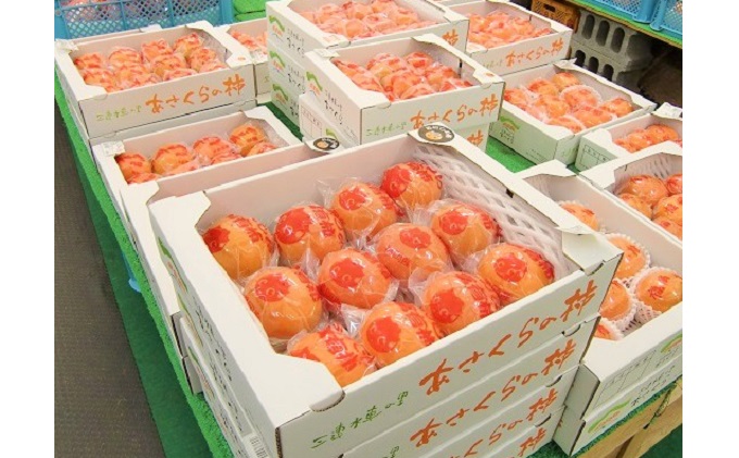 柿 かき 冷蔵柿 9～12玉 約3～4kg フルーツの里の直売所より 冷蔵富有柿 配送不可：離島