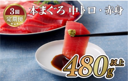 《定期便》長崎県産本まぐろ(中トロ･赤身)480g以上