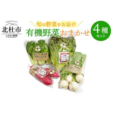 ふるさと納税 有機野菜おまかせ4種セット０６ 山梨県北杜市