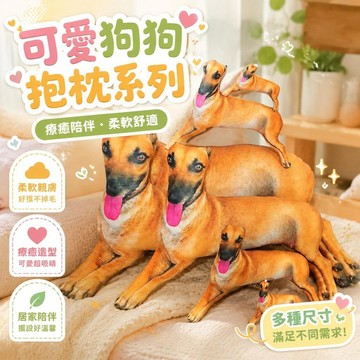 🌟臺灣出貨🌟仿真靈緹犬狗玩偶 抱枕 大號睡覺抱枕 抽象搞怪造型 靠墊 生日禮物 女送男生 閨蜜禮物 實用抱枕