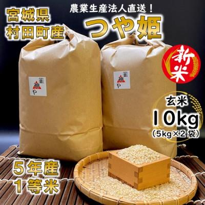 ふるさと納税 村田町 令和5年宮城県産 つや姫 玄米10kg(5kg×2袋)