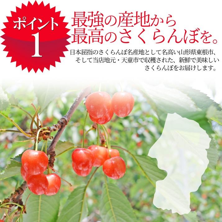 さくらんぼ 紅秀峰 2Lサイズ 300g 鏡詰め 山形 特秀 2024 山形県産 サクランボ お中元 ギフト プレゼント 送料無料  (遠方送料加算)