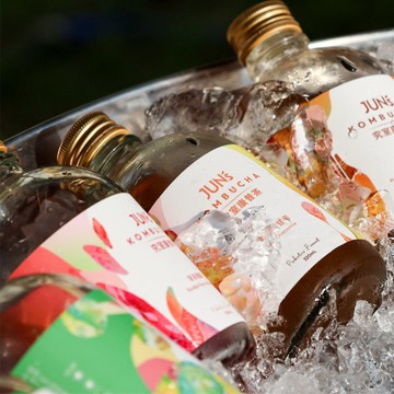 康普茶自由搭配6入