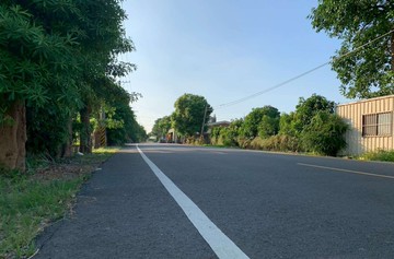 田尾花香美田｜彰化縣田尾鄉三豐段