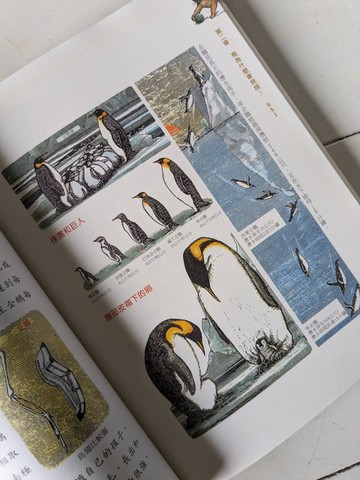 本書採下單後開始尋書/哇!動物世界真有趣