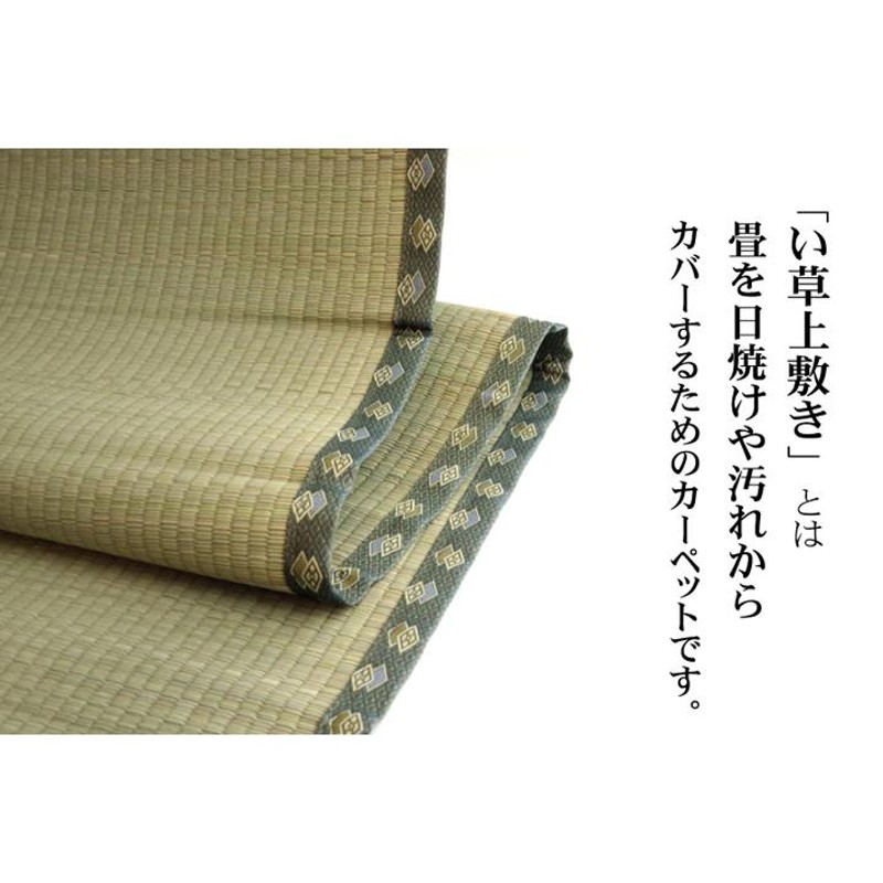 国産 い草 上敷き カーペット「 松 」 団地間4.5畳(約255×255cm